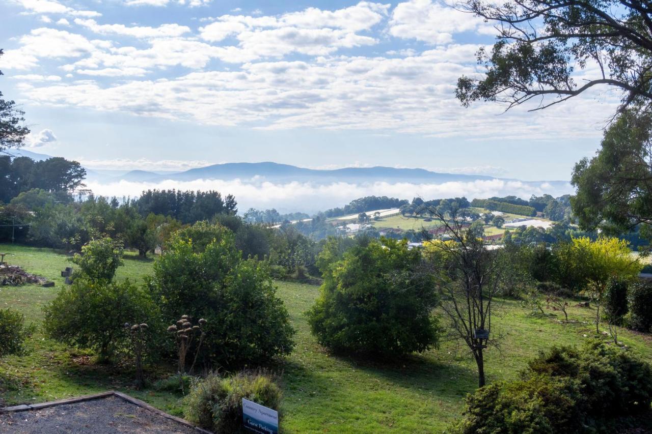 Treetops - Yarra Valley Country Apartment Silvan Esterno foto