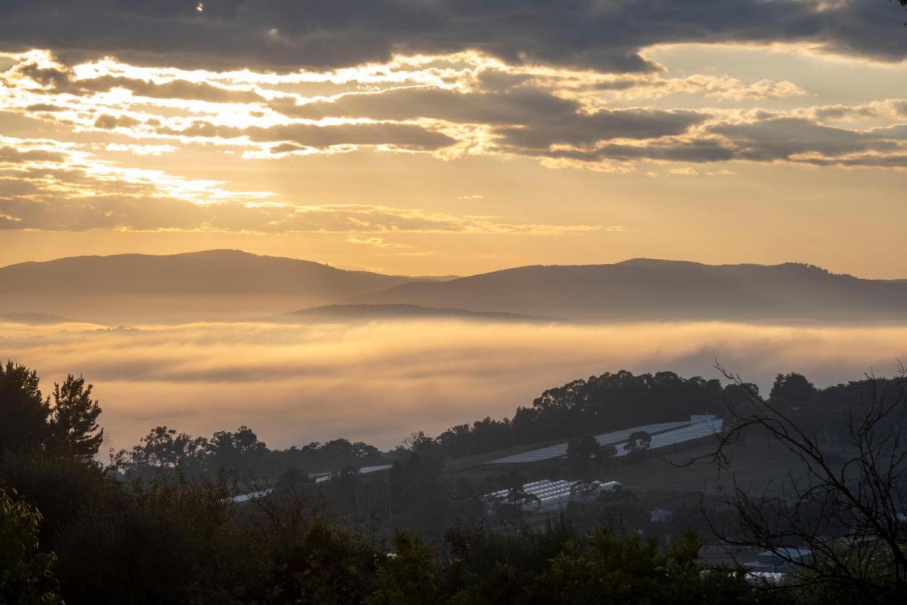 Treetops - Yarra Valley Country Apartment Silvan Esterno foto